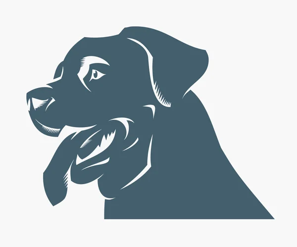 Perro rottweiler — Vector de stock