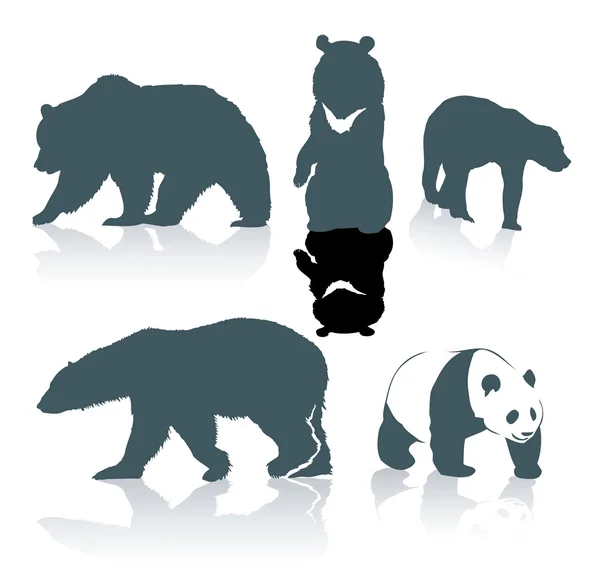 Espèces d'ours — Image vectorielle