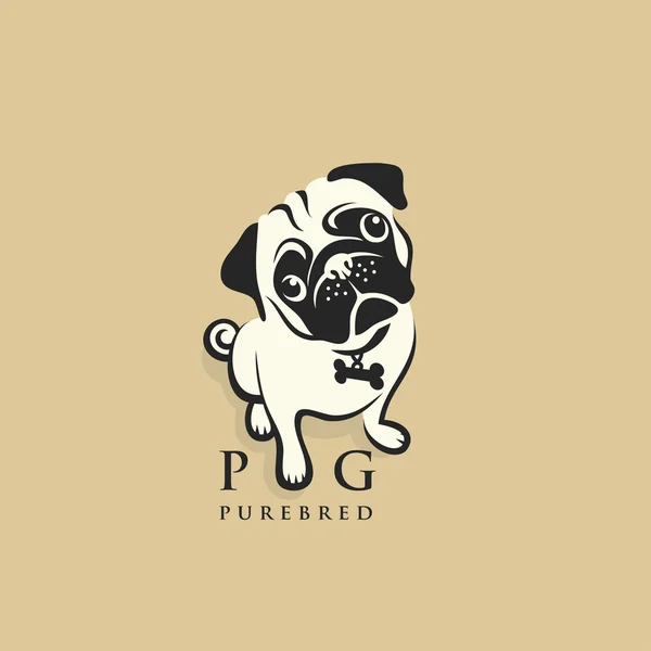 Pug köpek