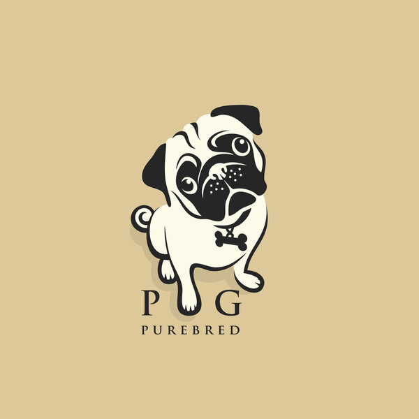 Pug dog