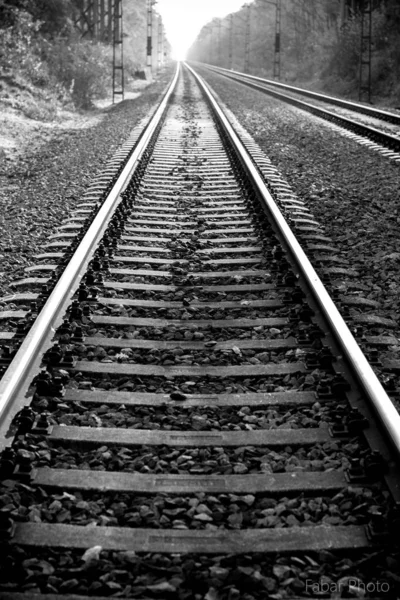 Rails Distance — Stock Photo, Image
