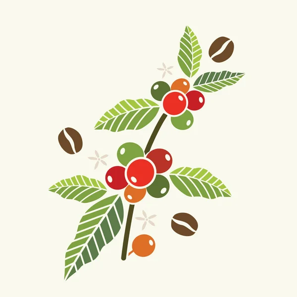 Vektorillustration Von Spezialkaffee Zweige Von Kaffeebaum Mit Blättern Und Beeren — Stockvektor