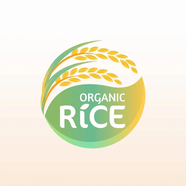 Paddy Rice Premium Organic Natural Product Banner Logo Vector Design — Stock Vector