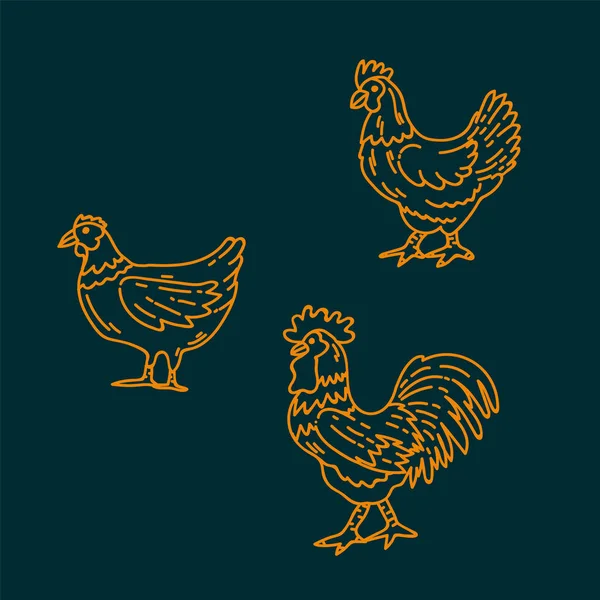 Un conjunto de líneas caseras con gallinas y un gallo. Ilustraciones con un pájaro para un corral. Animales naturales dibujados a mano para el diseño ecológico. — Vector de stock