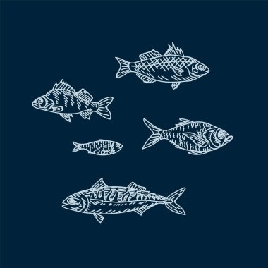 Balık çizimi seti. Güzel deniz ve nehir hayvanları. Tasarım için deniz ürünleri ile balık. Balık ve deniz yaşamından yemek pişirmek.