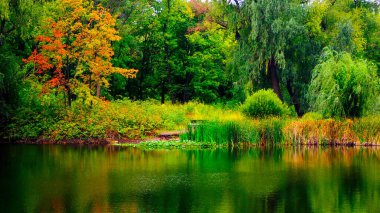  Sonbaharın başlarında bulutlu bir günde park et. 