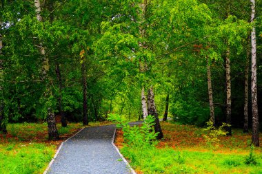  Sonbaharın başlarında bulutlu bir günde park et. 