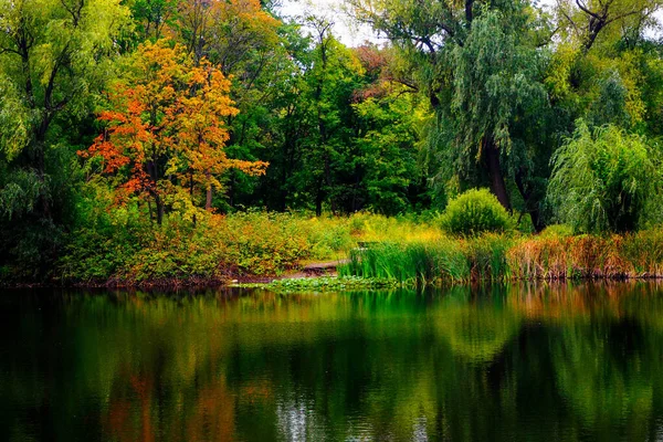 Sonbaharın Başlarında Bulutlu Bir Günde Park — Stok fotoğraf