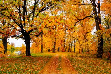 Nehir veya göl kenarındaki sonbahar manzarası, bulutlu bir gün. 