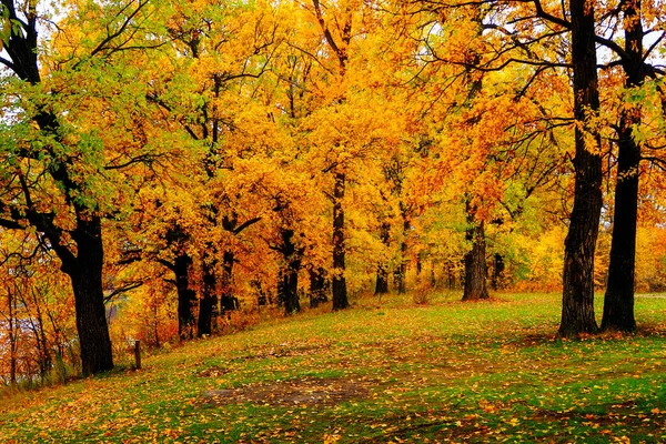 Jesienny Krajobraz Nad Rzeką Lub Jeziorem Zachmurzony Dzień — Zdjęcie stockowe