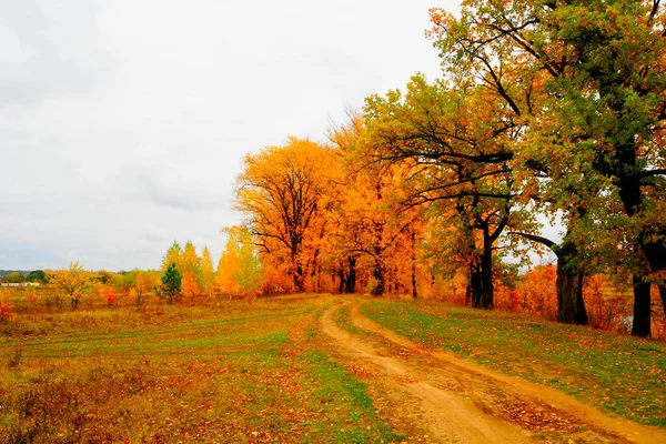 Осенний Пейзаж Рядом Рекой Озером Облачный День — стоковое фото