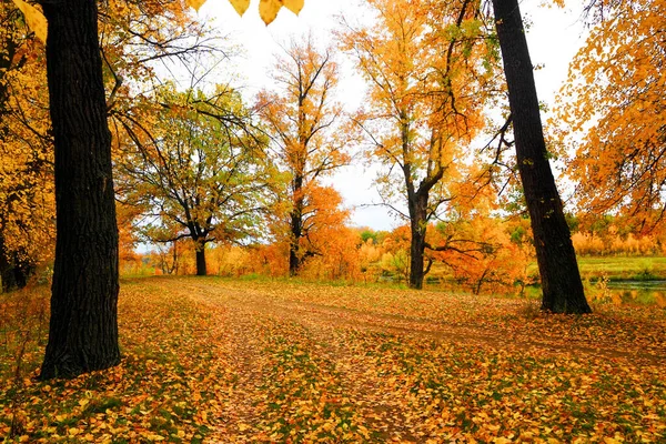 秋天的风景紧邻河流或湖泊 — 图库照片