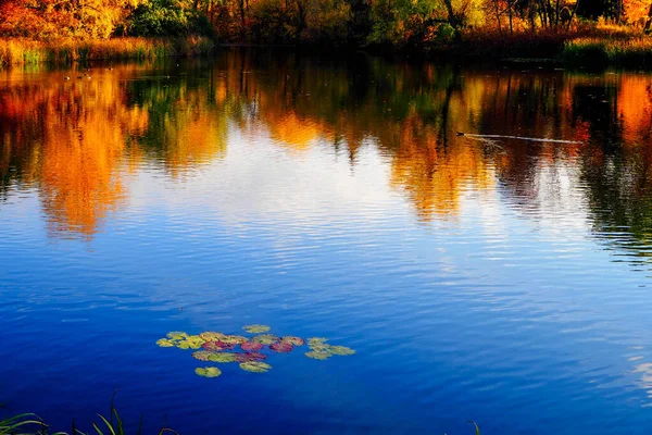 Nehir Veya Göl Kenarındaki Sonbahar Manzarası Bulutlu Bir Gün — Stok fotoğraf