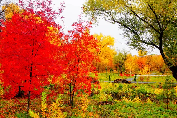 Podzimní Krajina Řeky Nebo Jezera Oblačný Den — Stock fotografie