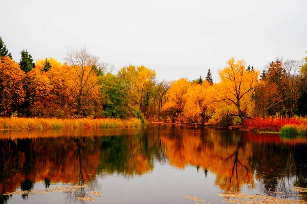 Nehir Veya Göl Kenarındaki Sonbahar Manzarası Bulutlu Bir Gün — Stok fotoğraf