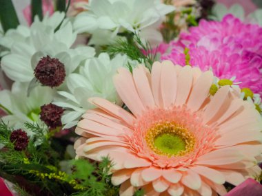  Sonbaharın başlarında bulutlu bir günde park et.  