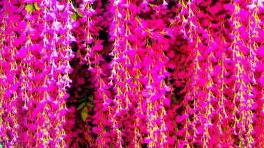  Sonbaharın başlarında bulutlu bir günde park et.  