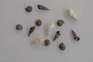 Çeşitli durumlar için küçük şekilli dekoratif öğeler 