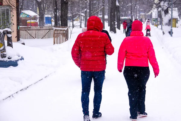 Sétáló Emberek Egy Téli Parkban Egy Felhős Napon — Stock Fotó
