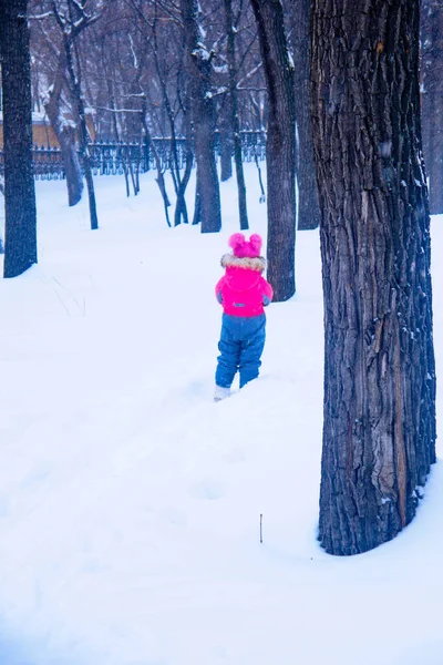 Walking People Winter Park Cloudy Day — Stock Photo, Image