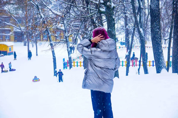 Procházky Zimním Parku Zamračený Den — Stock fotografie