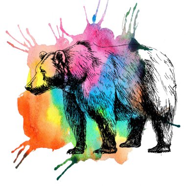 ayı ve sulu boya spot.