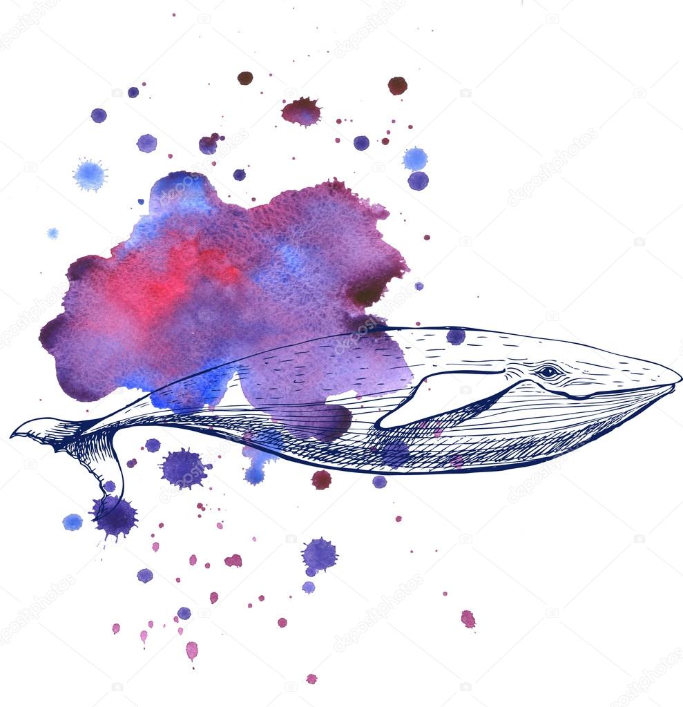 Whale and watercolor spot. Raster illustration.