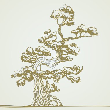 geleneksel bonsai ağacı.