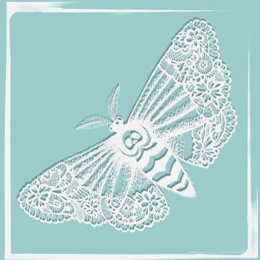 dantelli death's-head güve.