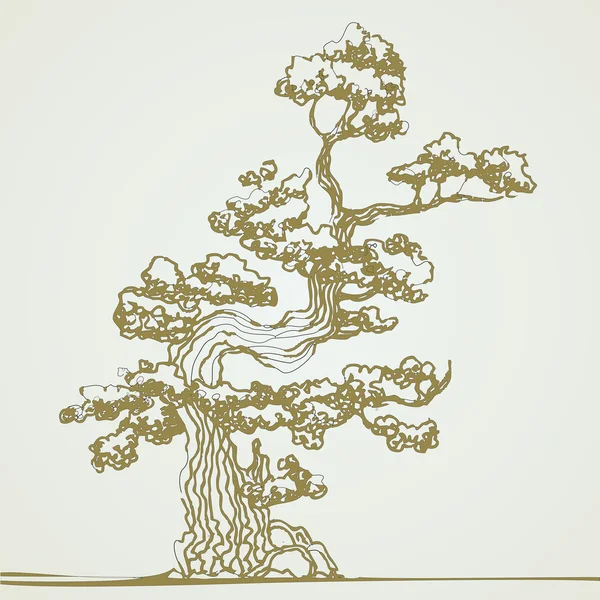 Traditional bonsai tree. — Stock Vector