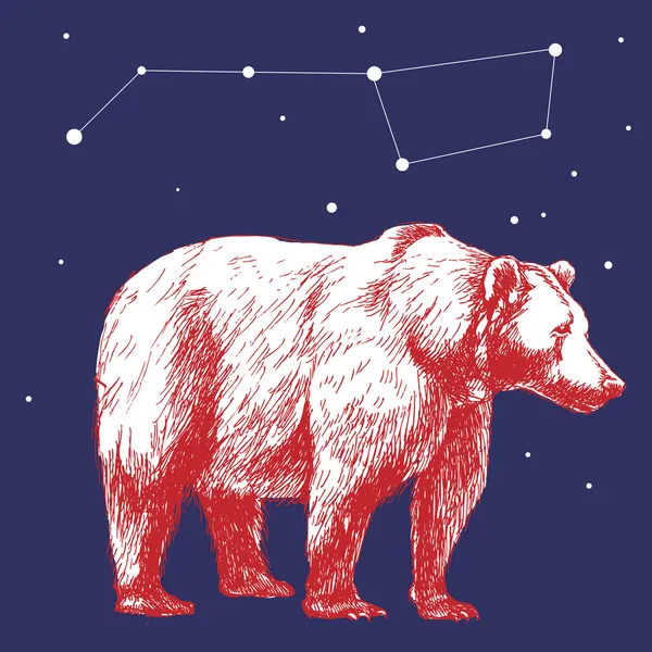 Big Dipper and polar bear. — Stock Vector