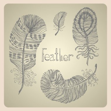 set tüyleri ile çizilmiş vintage.