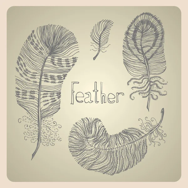 Vintage set with hand-drawn feathers. — Stock Vector