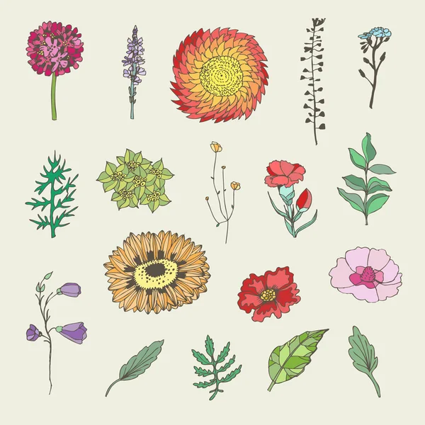 Floral set. — Stock Vector