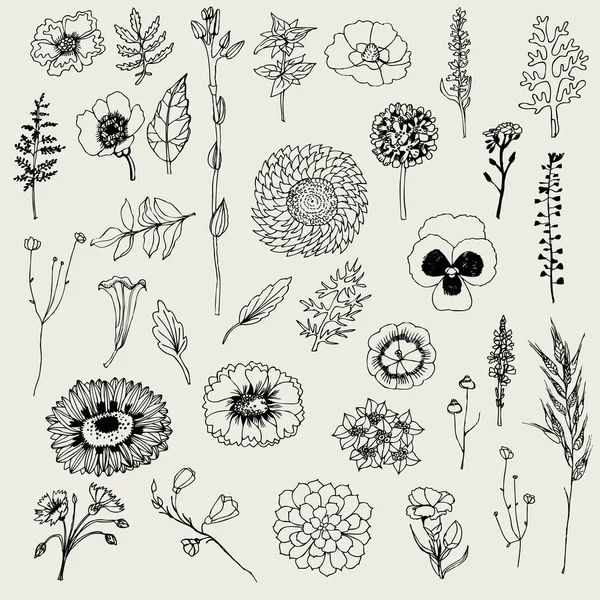 Floral set. — Stockvector