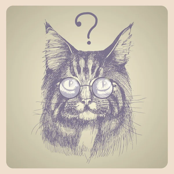 Πορτραίτο γάτας Μέιν. — Διανυσματικό Αρχείο