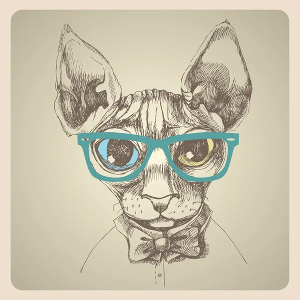 Sfinks cat portrait. — Stock Vector