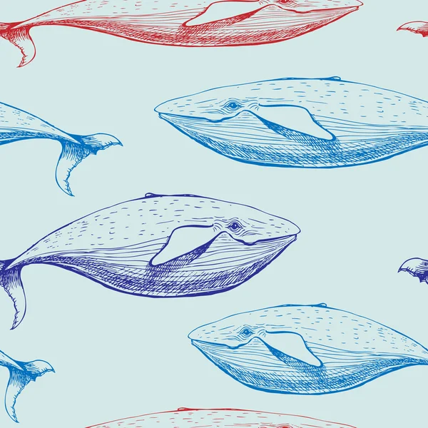 Ballenas patrón sin costura . — Vector de stock