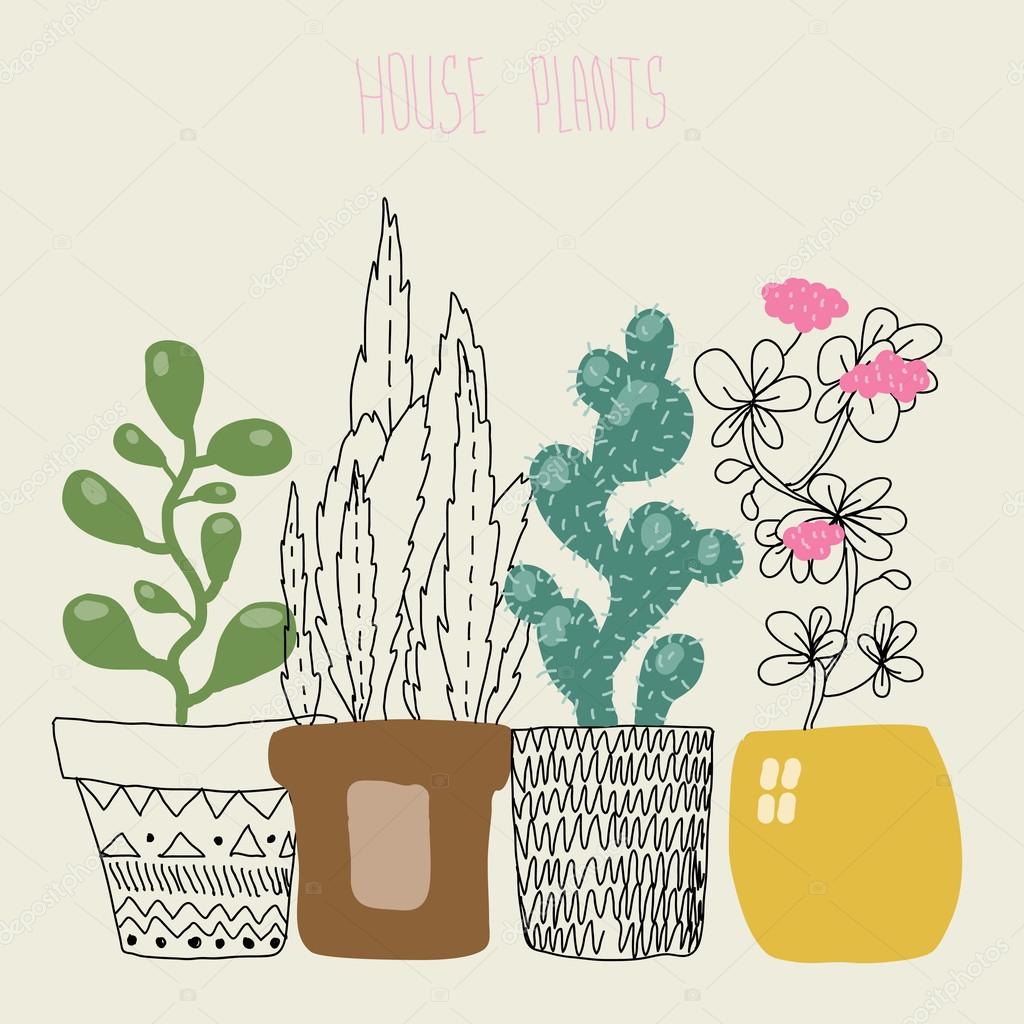 House plants.