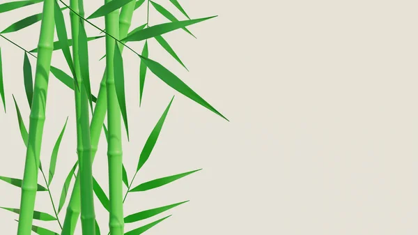 Fond Bambou Avec Espace Copie Illustration Rendu — Photo