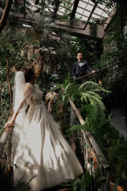 düğün günü, gelin ve damat