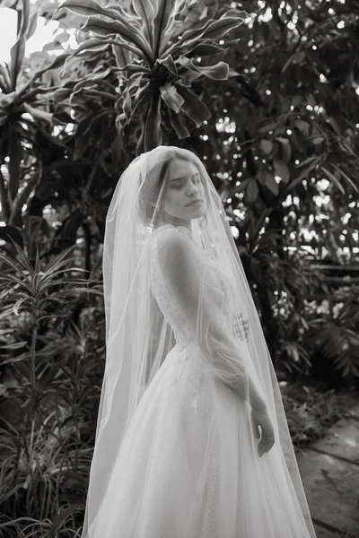 Élégante Mariée Dans Une Robe Mariée Long Voile — Photo