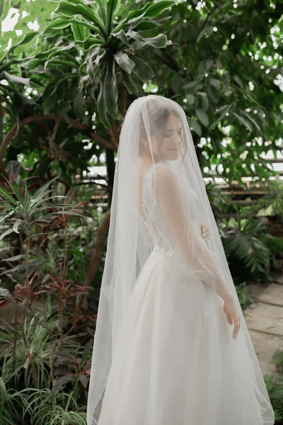 Noiva Elegante Vestido Noiva Véu Longo — Fotografia de Stock