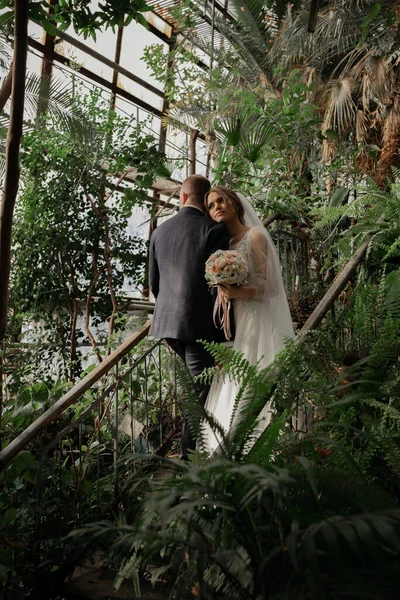 Noiva Elegante Noivo Entre Plantas Tropicais Dia Casamento — Fotografia de Stock