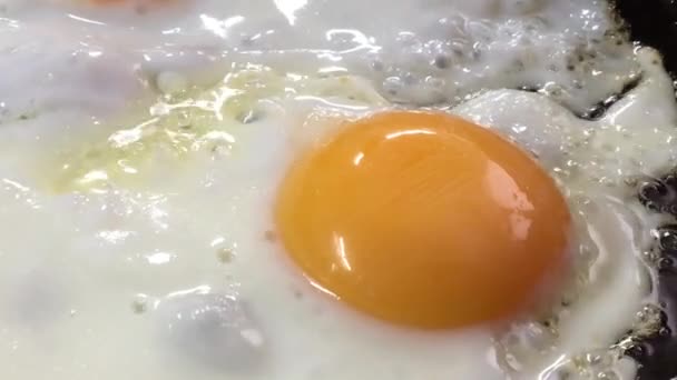 Τηγανητά Αυγά Μαγειρεύονται Ένα Κοντινό Τηγάνι — Αρχείο Βίντεο