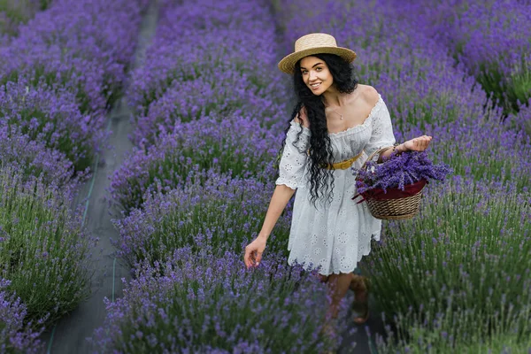 Campo Lavanda Una Chica Con Una Cesta Sombrero Paja Recoge — Foto de Stock