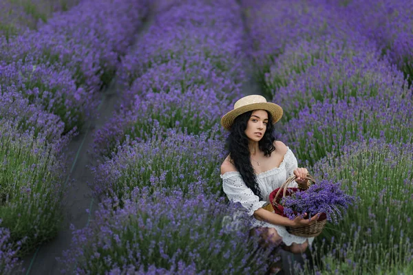 Campo Lavanda Uma Menina Com Uma Cesta Chapéu Palha Pega — Fotografia de Stock