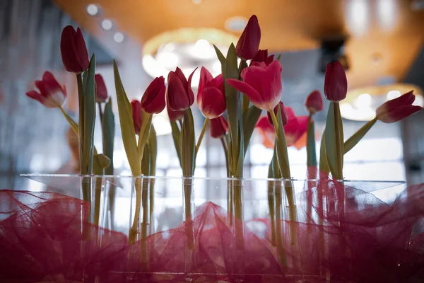 Apparecchiatura Della Tavola Festiva Con Candele Fiori Tulipani Rosa — Foto Stock