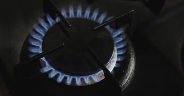 Gázégő Kék Lángok Háztartási Gáztűzhely — Stock videók