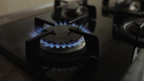 Gas Burner Blue Flames Household Gas Stove — Stock Video